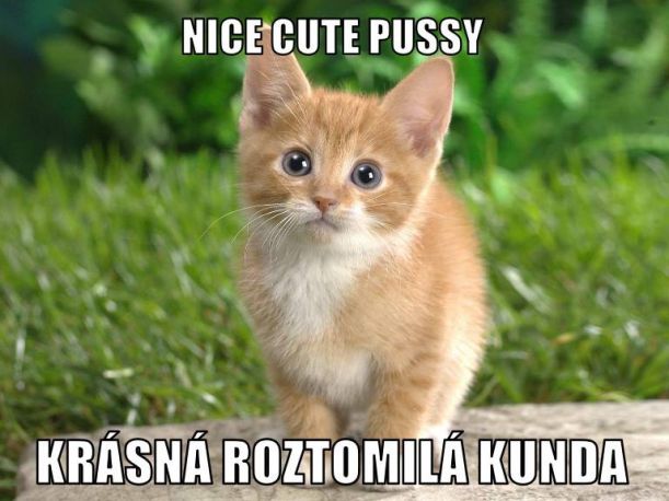 Obrázek kocka-sem-kocka-tam