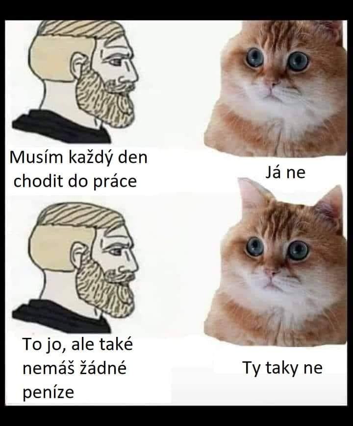 Obrázek kocka ma pravdu