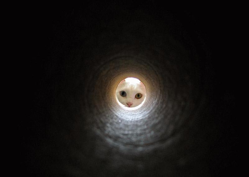 Obrázek kocka na konci tunelu