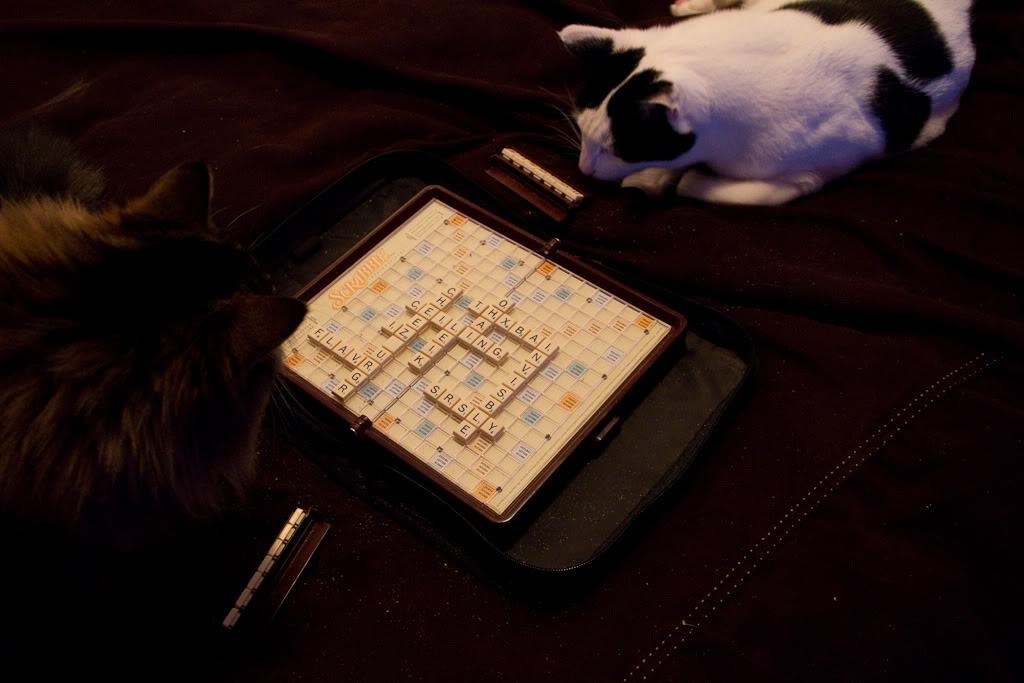 Obrázek kocky scrabble