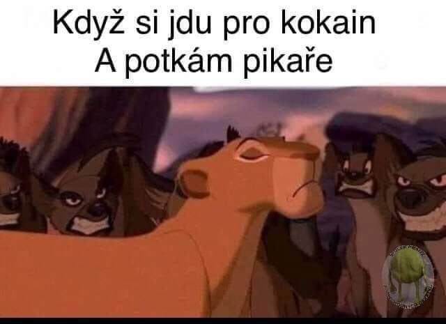 Obrázek kokes master