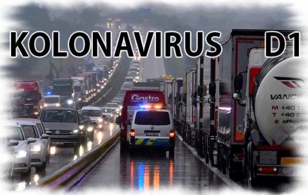 Obrázek kolonavirus D1