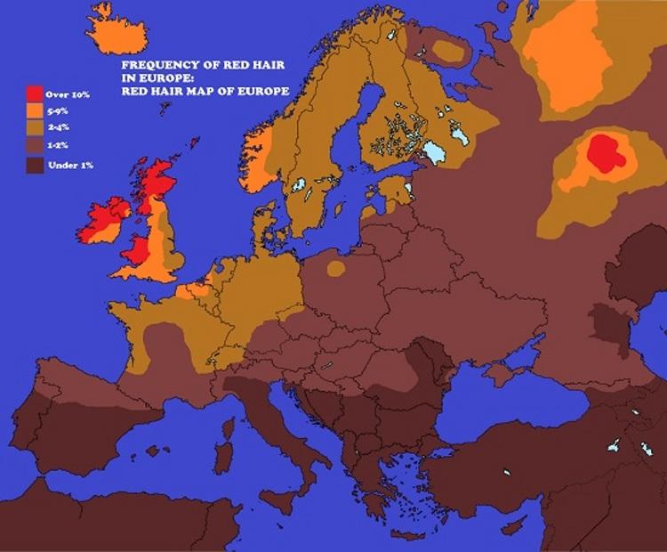 Obrázek koncentrace zrzek v evrope