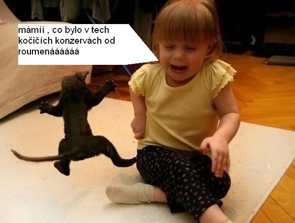 Obrázek konzervy s houbickama