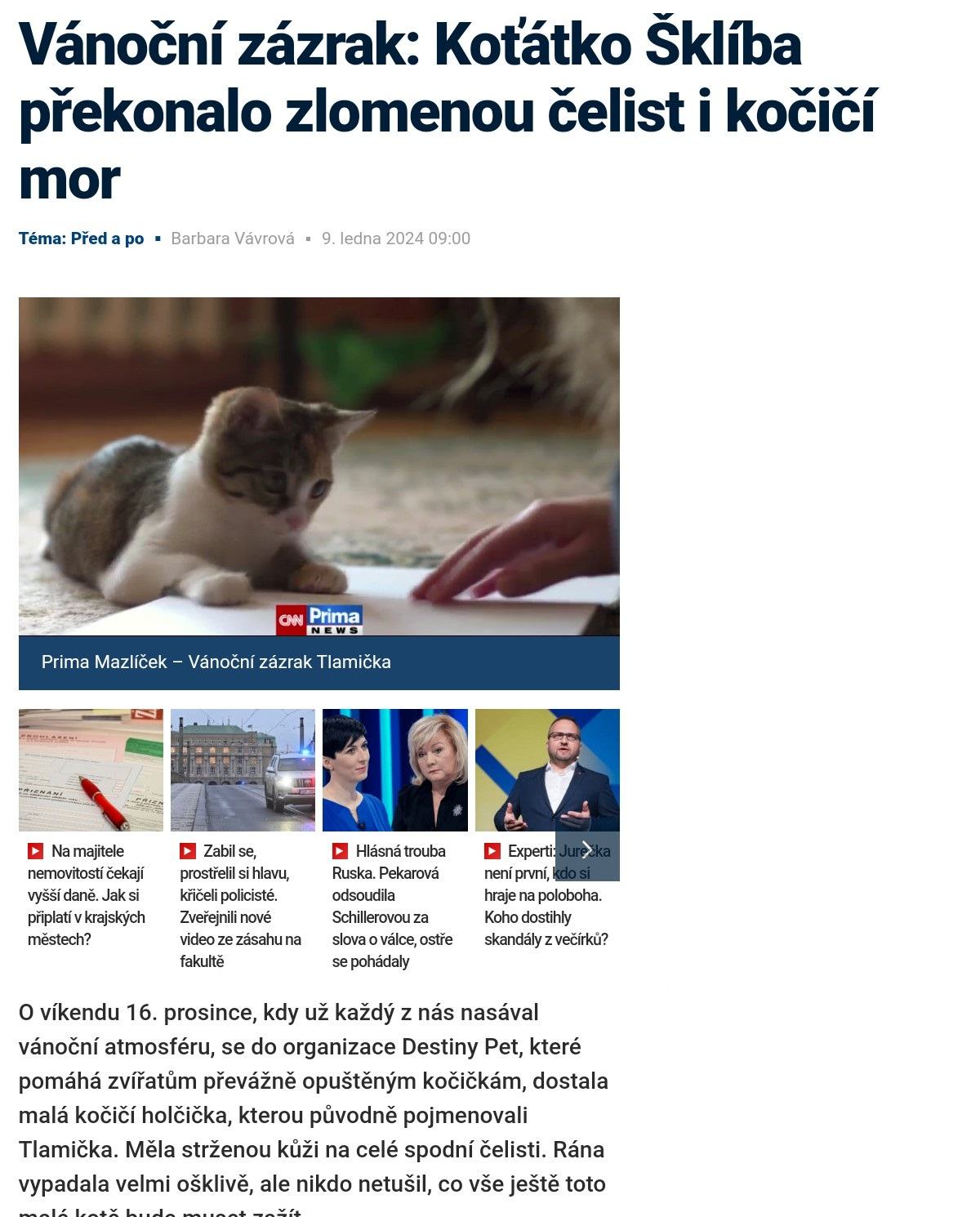 Obrázek kot sklib