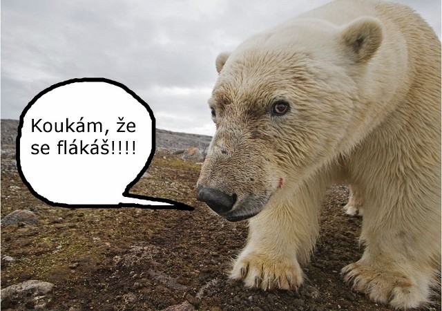 Obrázek koukam-ze-se-flakas