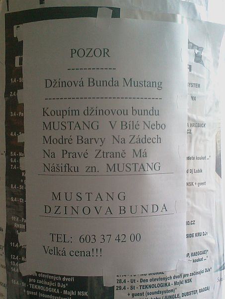 Obrázek koupim dzinovou bundu