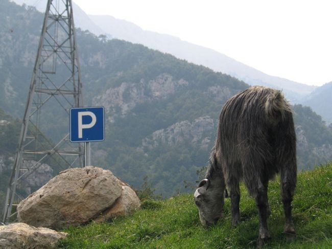 Obrázek kozi parking
