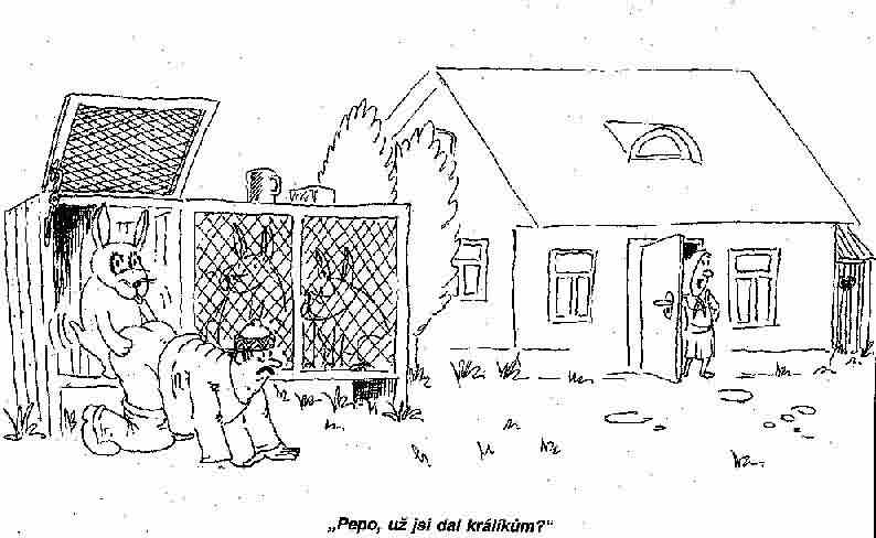 Obrázek kralici
