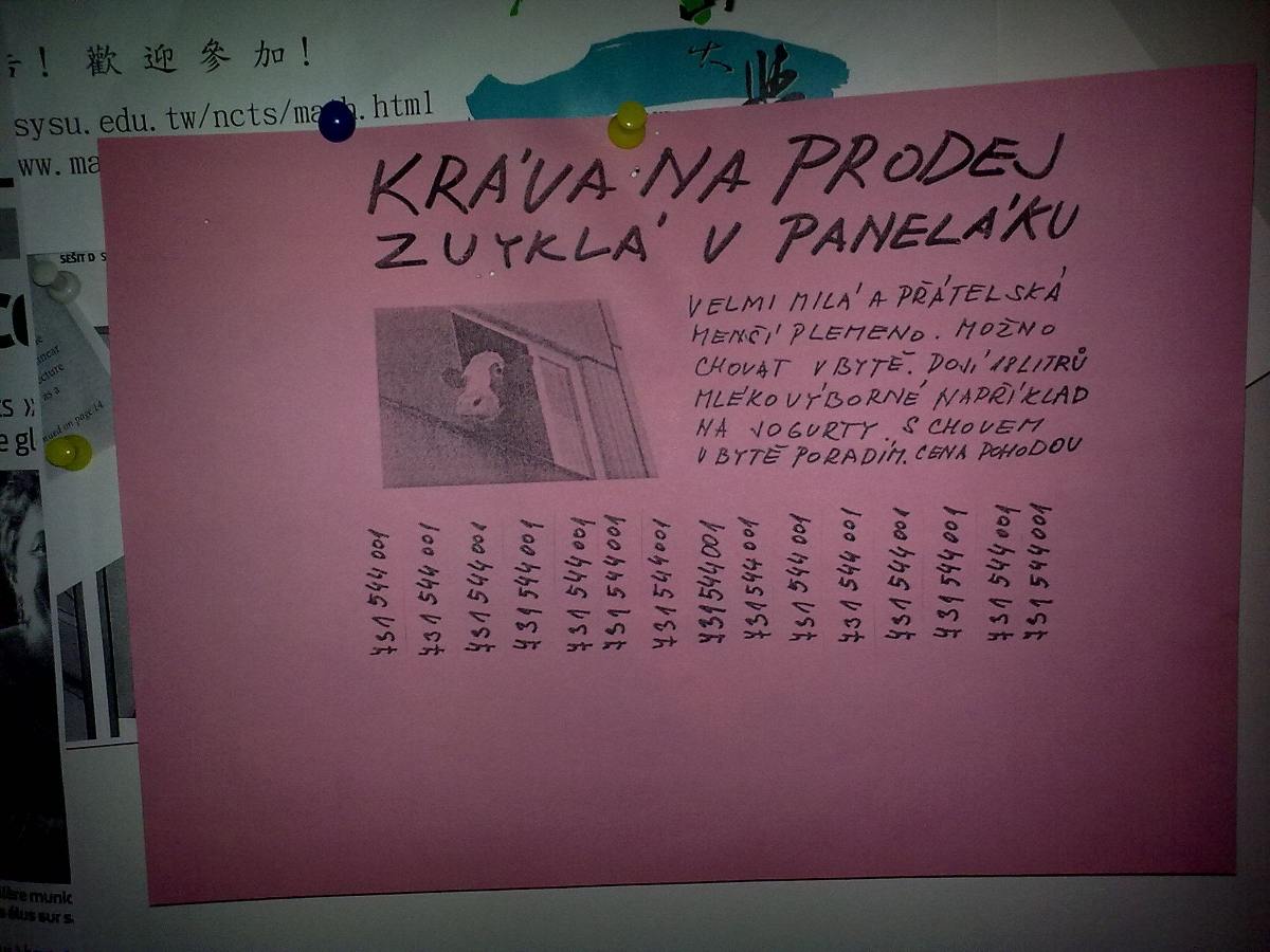 Obrázek krava na prodej