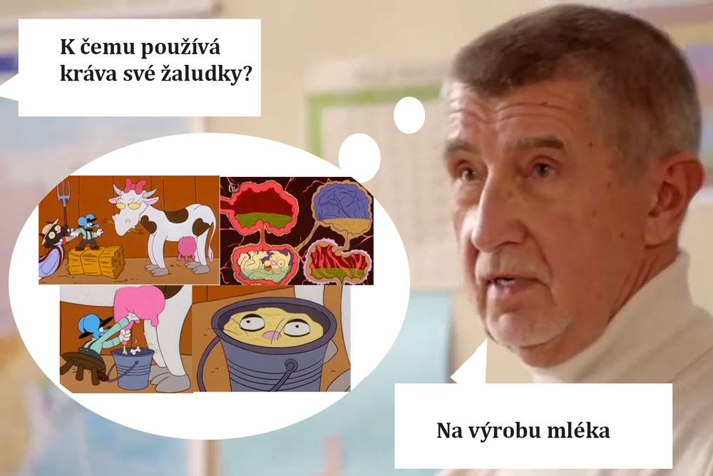 Obrázek krave
