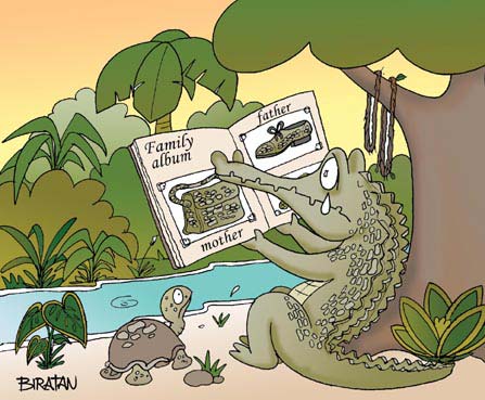Obrázek krokodylek