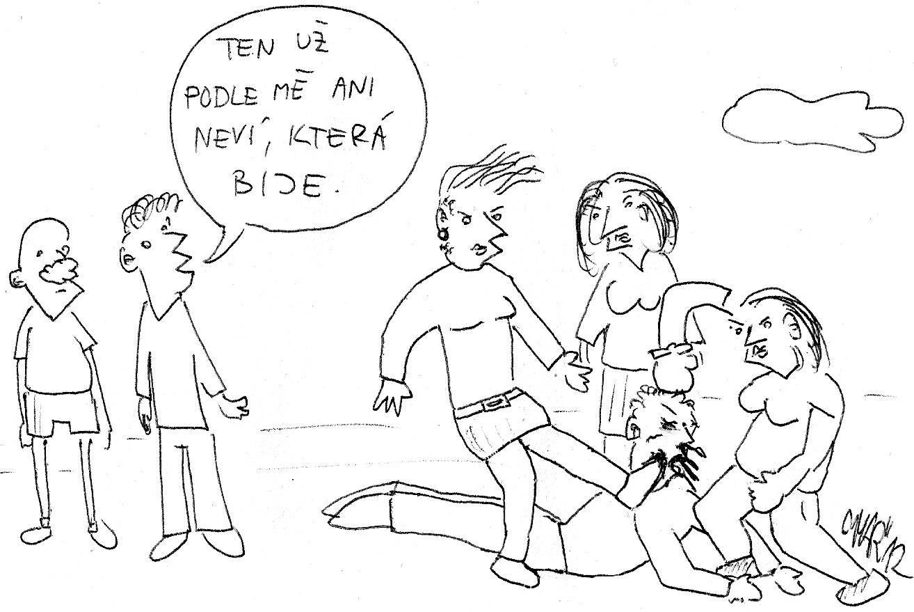 Obrázek ktera bije