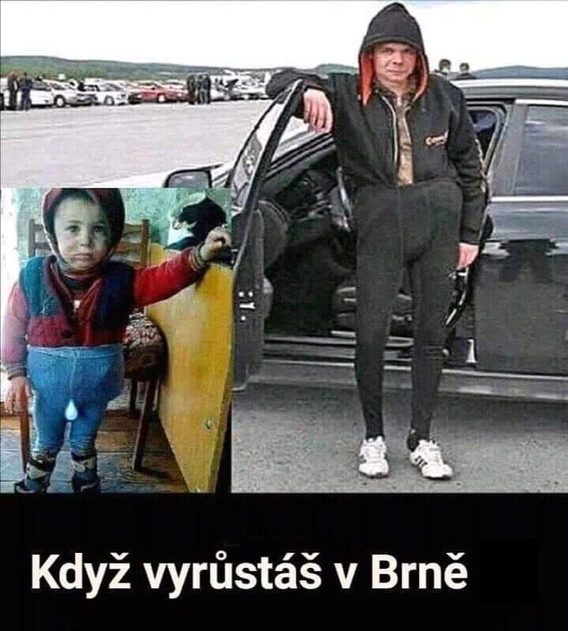 Obrázek kterej roumenista to je