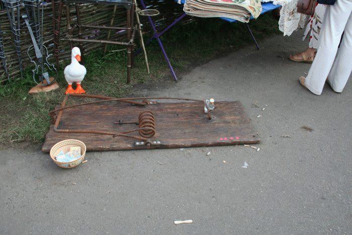Obrázek kto se chyti na kachnicku