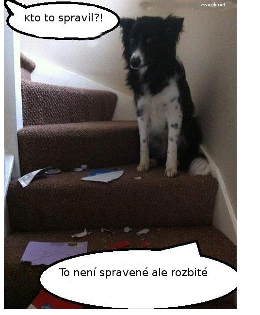 Obrázek kto to spravil ntk