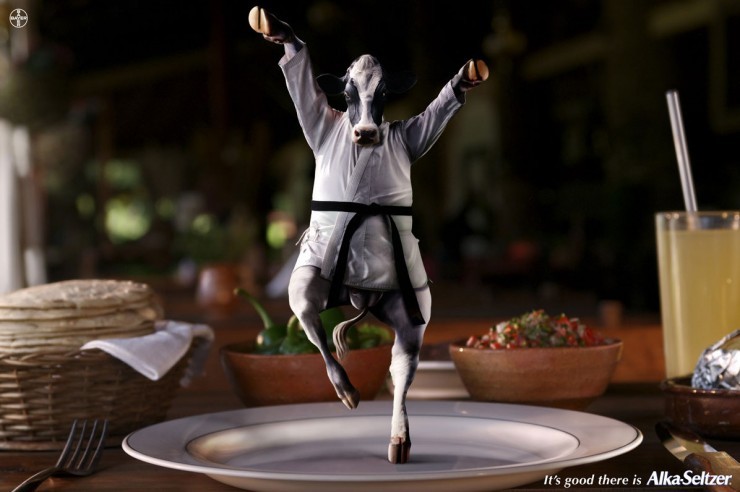 Obrázek kung fu krava