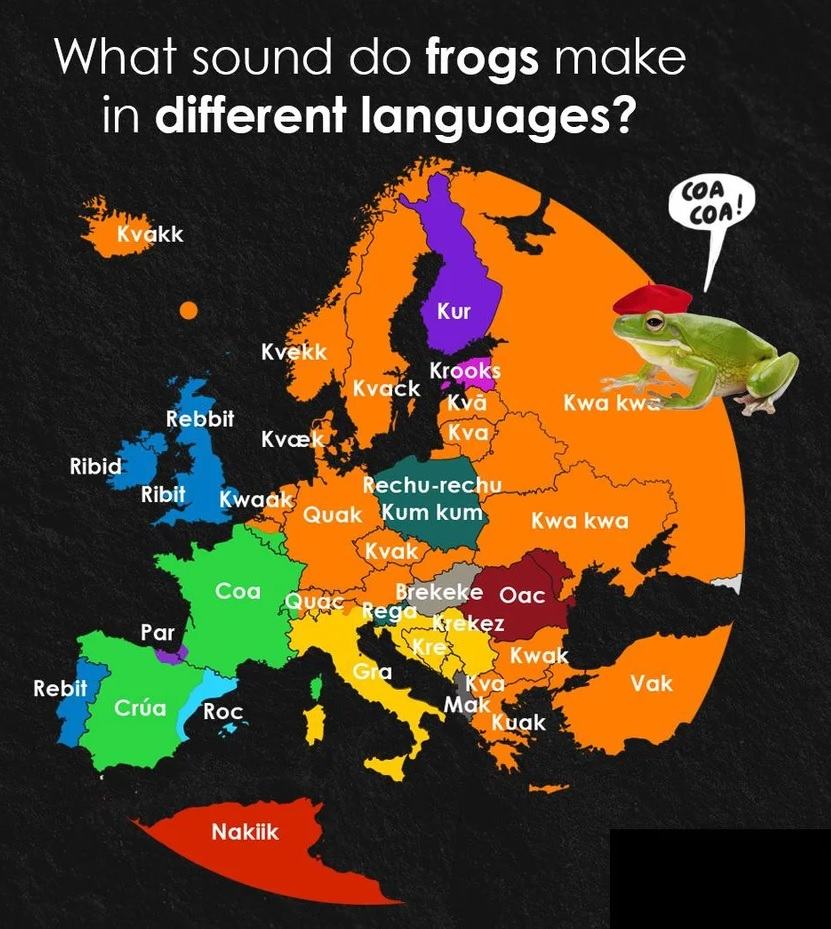 Obrázek kunk&nbsp;kunk