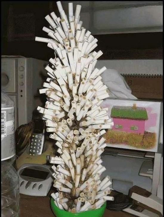 Obrázek kurakuv stromecek