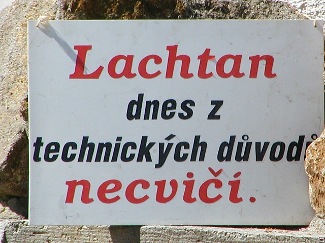 Obrázek lachtan