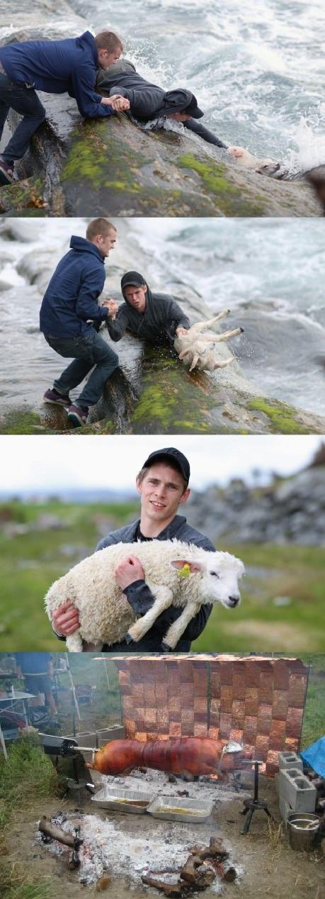 Obrázek lamb rescue fixed