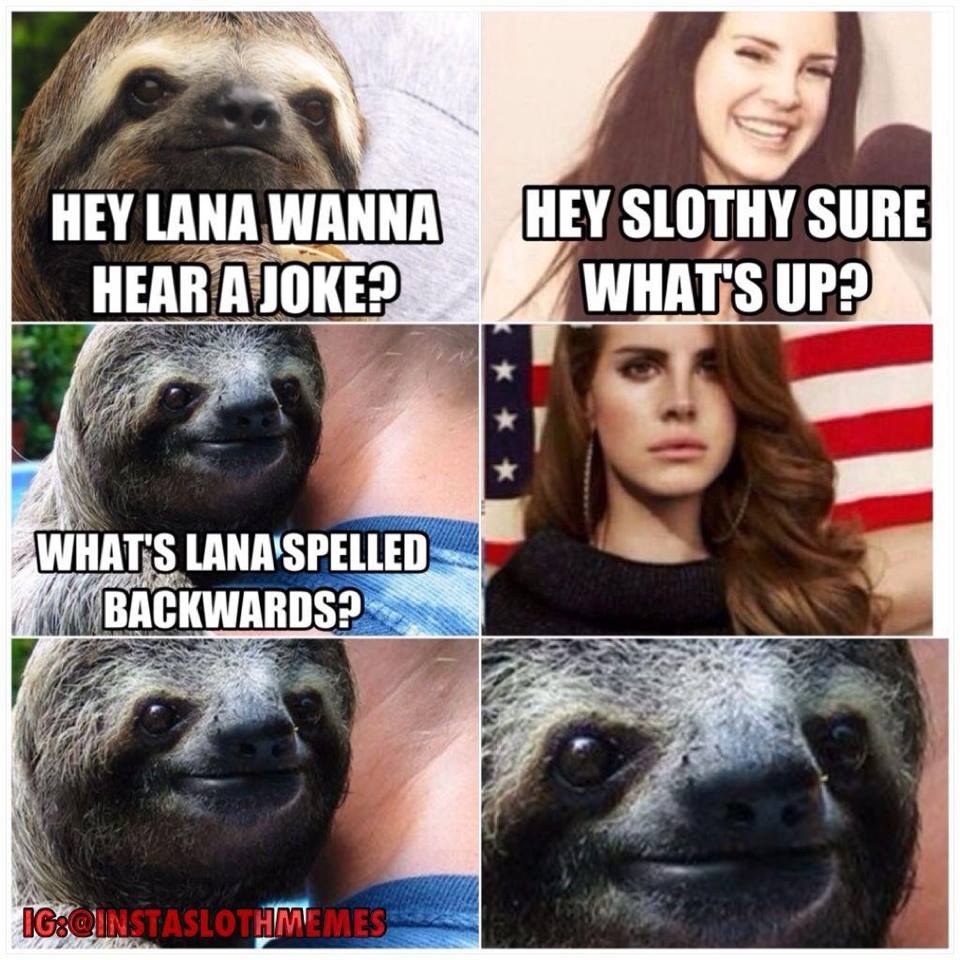 Obrázek lana and sloth