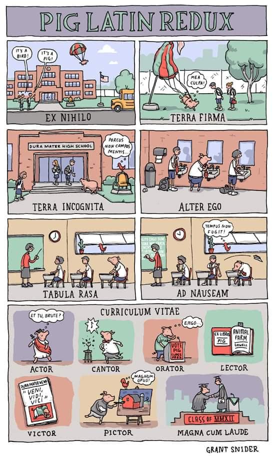 Obrázek latin redux