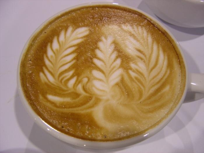 Obrázek latte 24