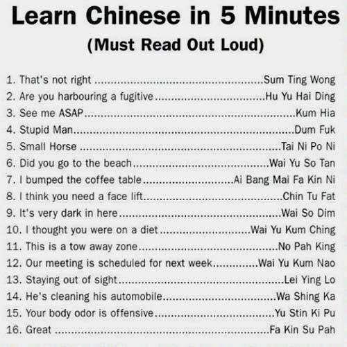Obrázek learn chinese in 5 minutes