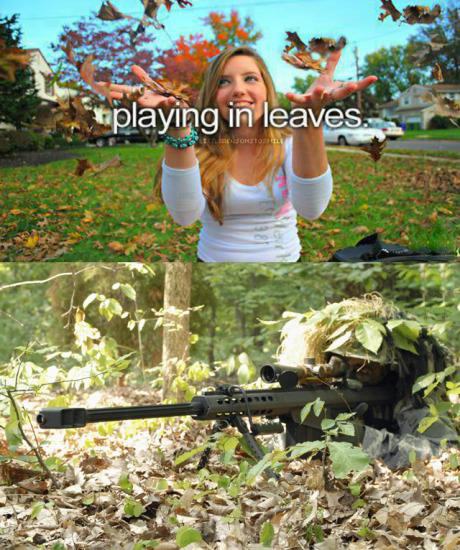 Obrázek leaves play
