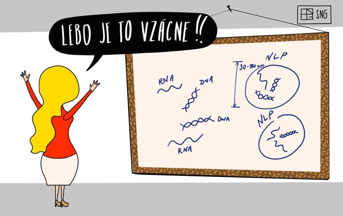 Obrázek lebo je to vzacne