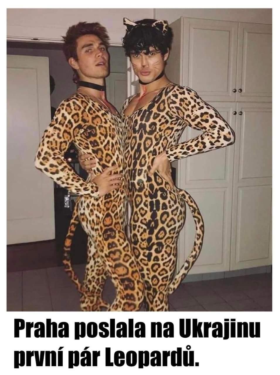 Obrázek leopardi na ukrajinu
