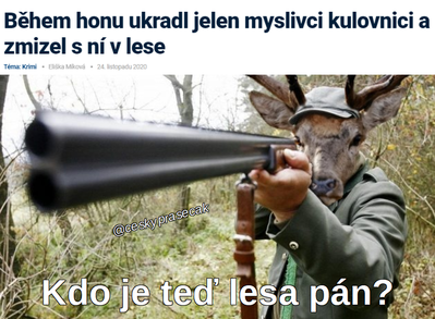 Obrázek lesa&nbsp;pan