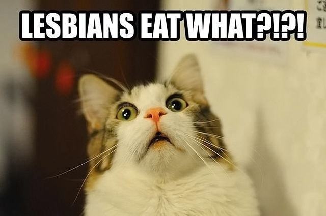 Obrázek lesbians eat