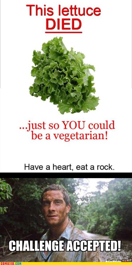 Obrázek lettuce