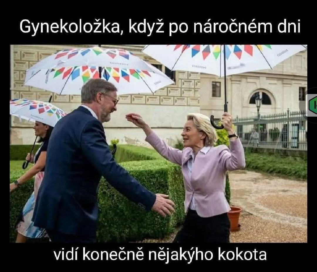 Obrázek liberalni globaliste v pornu