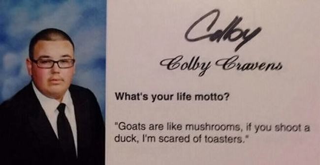 Obrázek life-motto-goats-mushroom