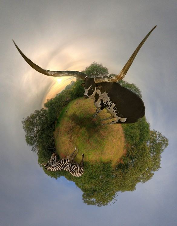 Obrázek little-planet-panorama14