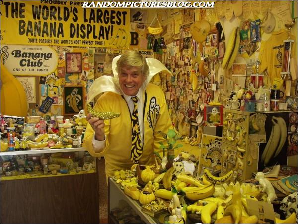 Obrázek living-in-a-banana-world