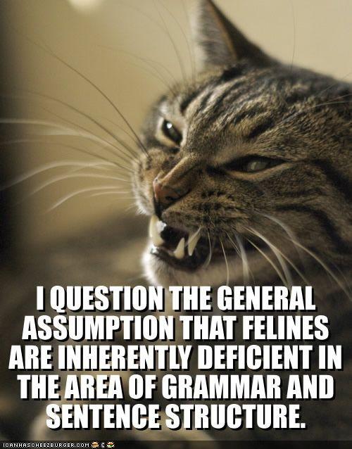Obrázek lolcatspeak
