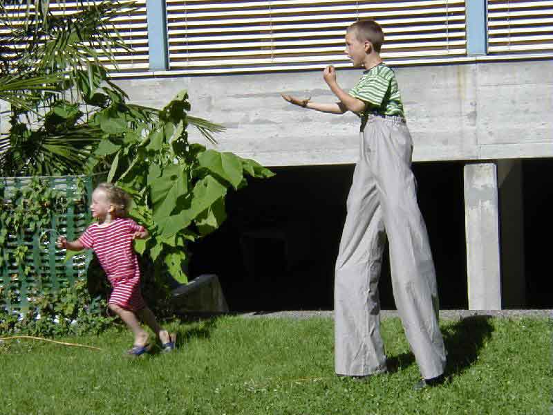 Obrázek long-legs