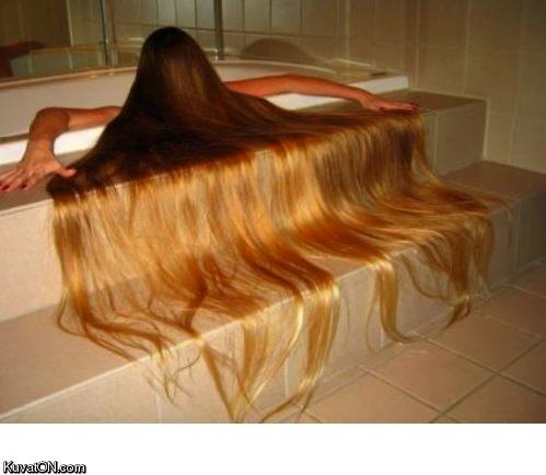 Obrázek long hair2