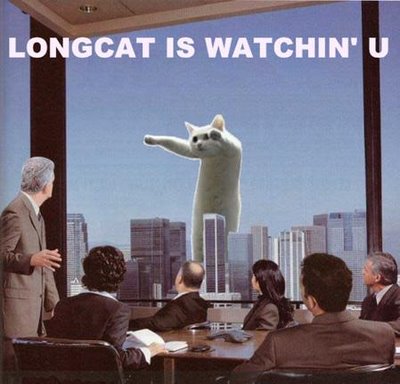 Obrázek longcat-is-loooong-10