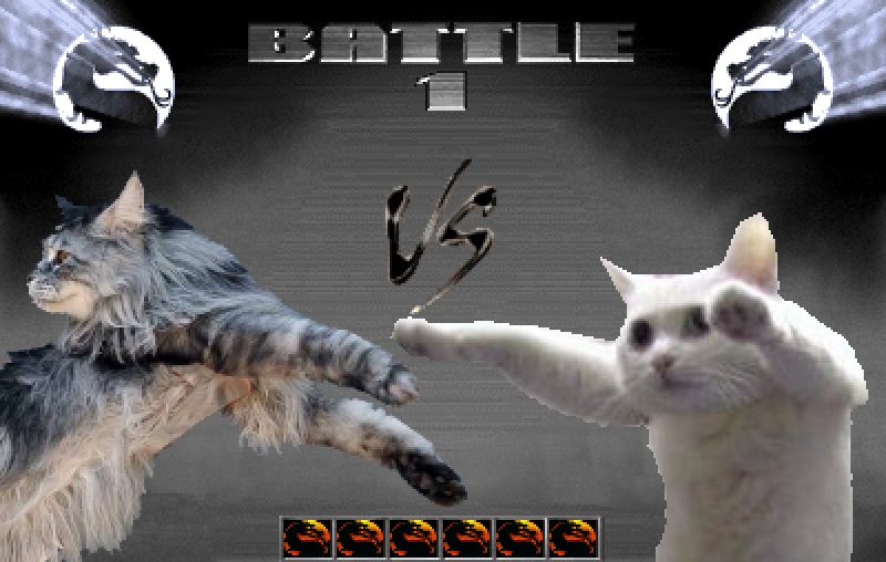 Obrázek longcat vs longcat