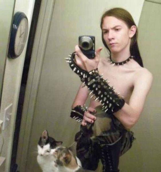 Obrázek lord of the kittens