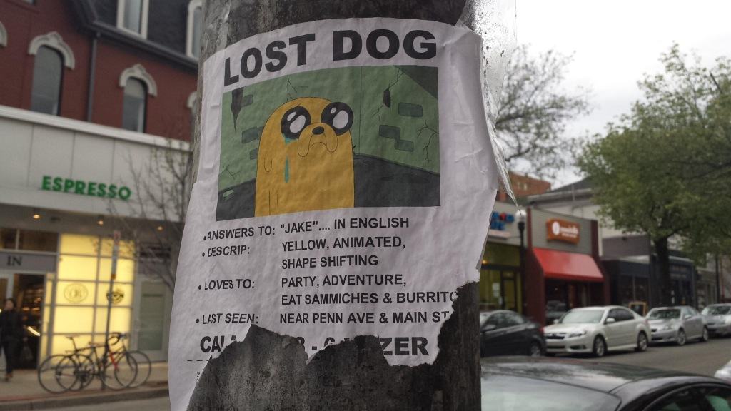Obrázek lost dog 