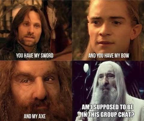 Obrázek lotr chat