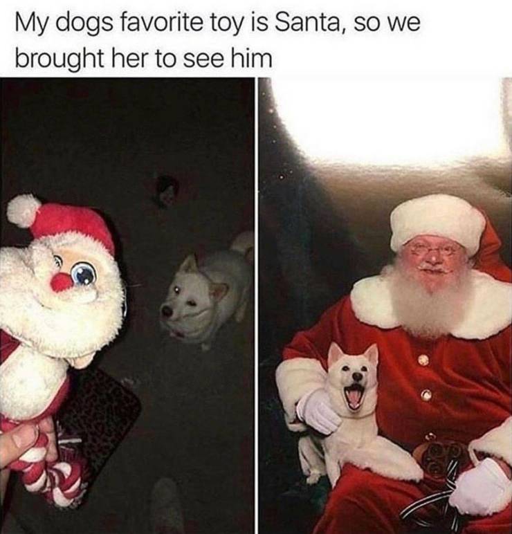 Obrázek love Santa