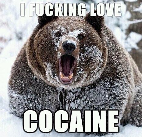 Obrázek love kokain