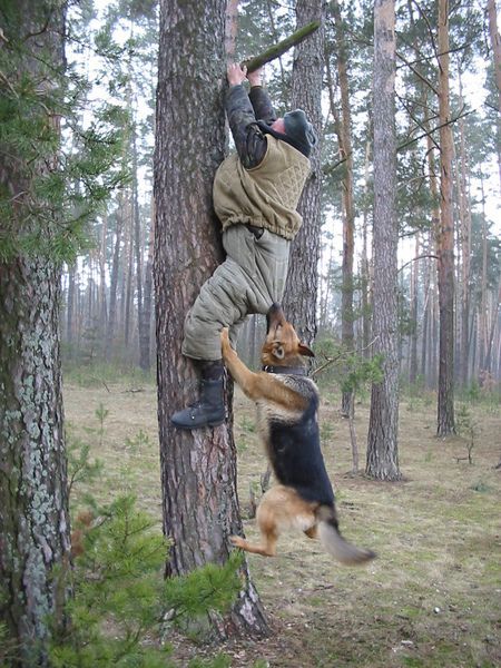 Obrázek lovec a jeho  pes